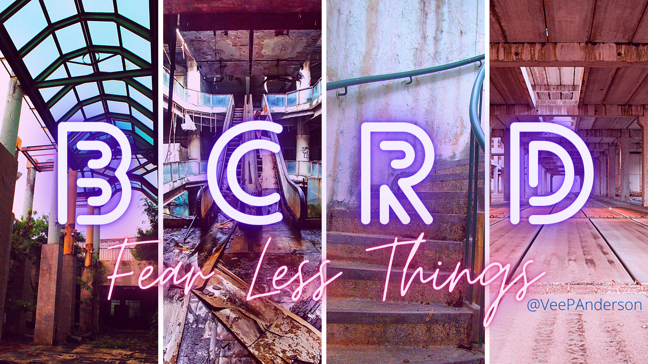 BCRDLogoWideHandle21